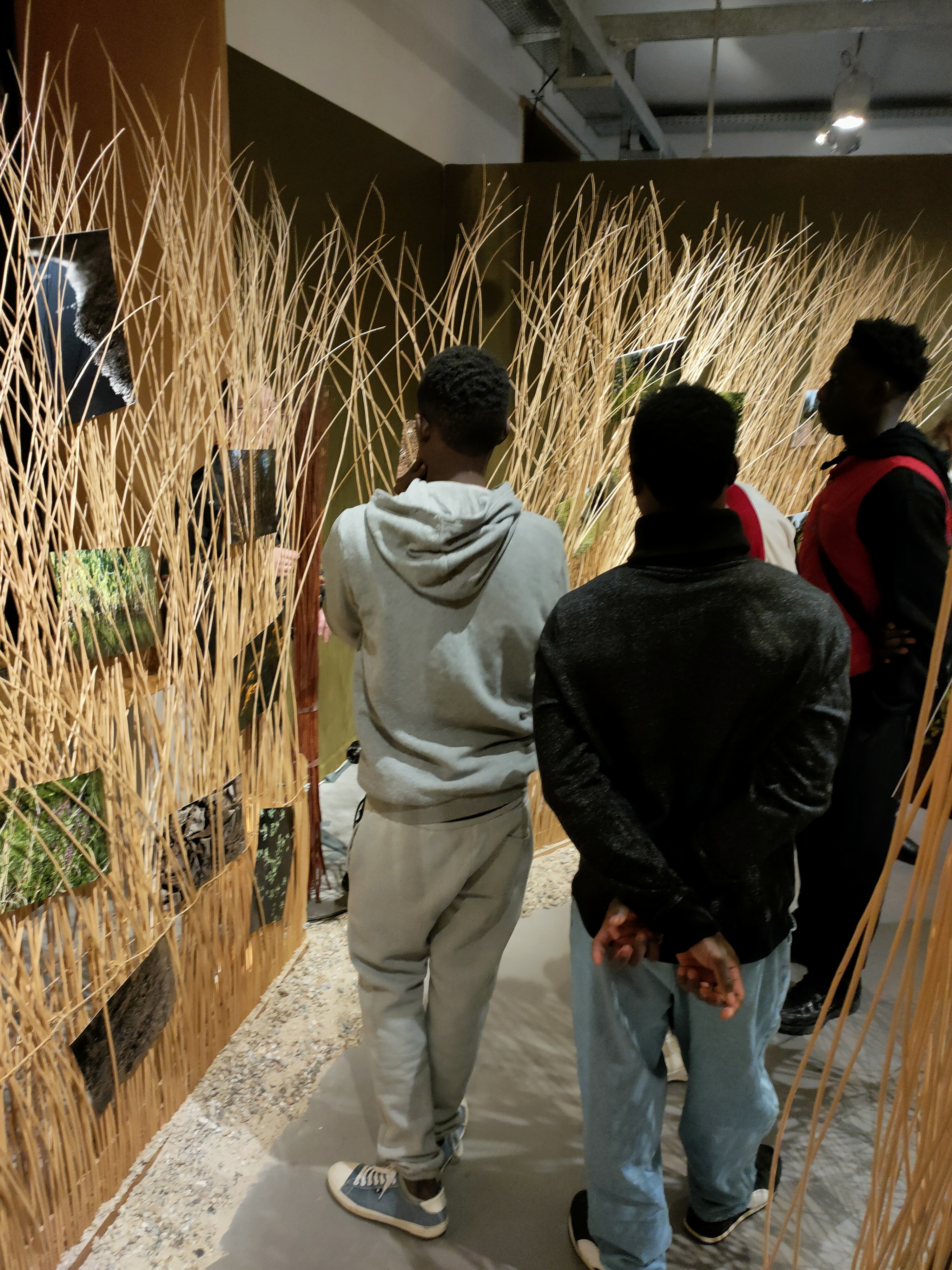 Exposition Nebula Liger / Un fleuve à soi