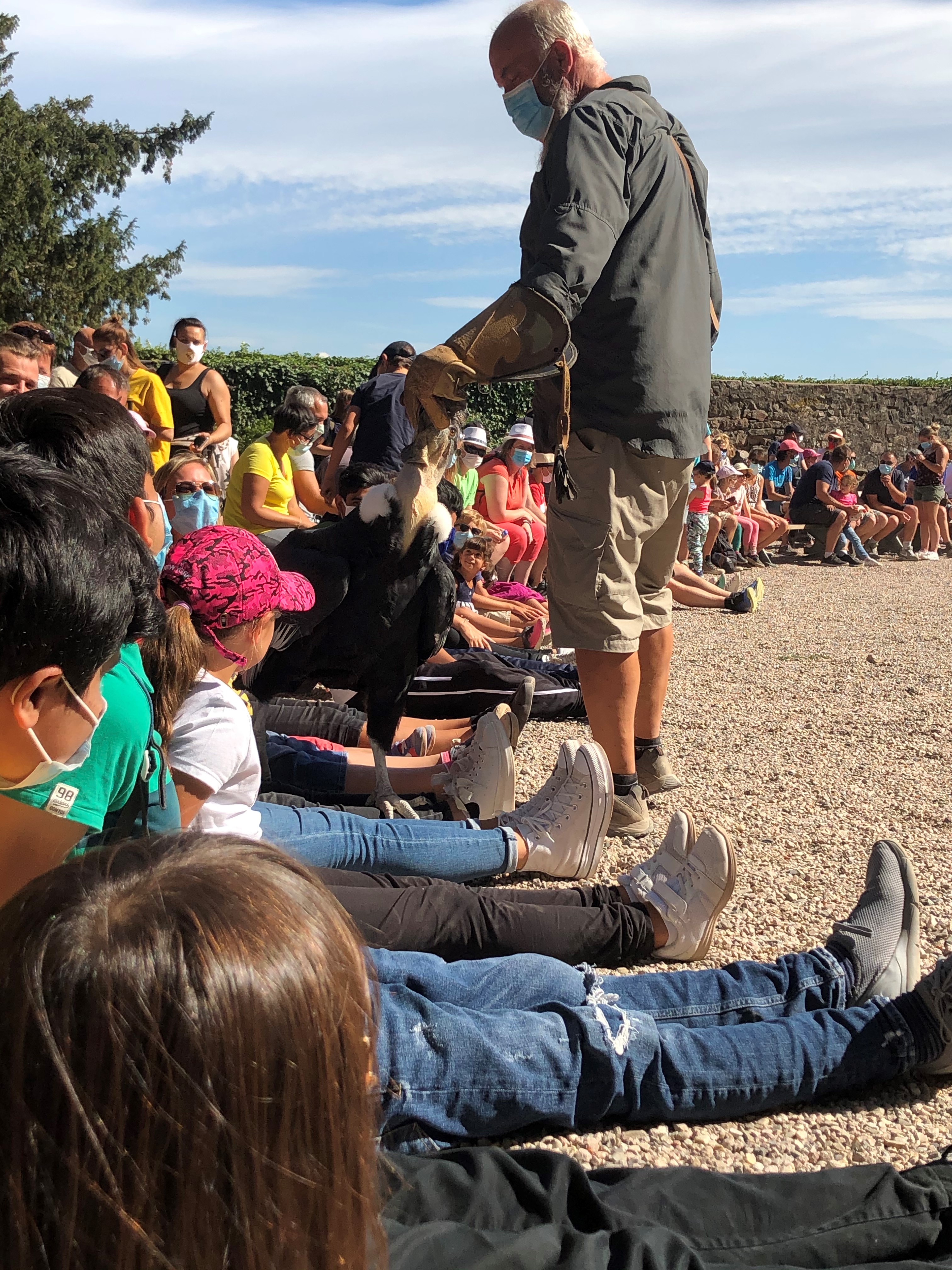 Visite de la Volerie des aigles