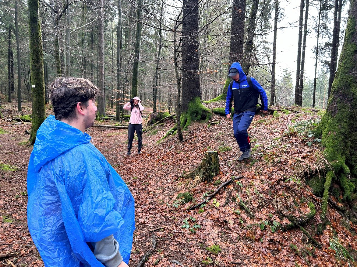 Promenons nous dans les bois...